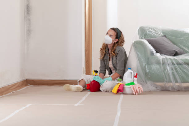 Reliable Mold Remediation contractor in Broomes Island, MD by WQB Mold Removal